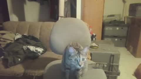 Snapshot of drac2009 chatting on January 28, 5:11 am drac2009 online show from January 28, 5:11 am