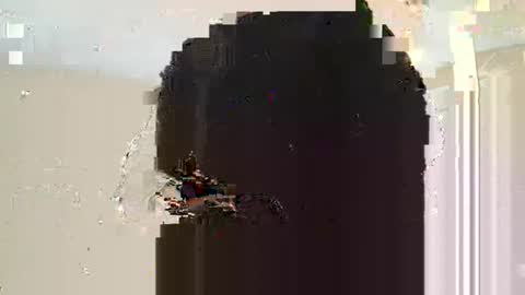 Snapshot of dreadstarr chatting on March 10, 11:10 am Dread online show from March 10, 11:10 am