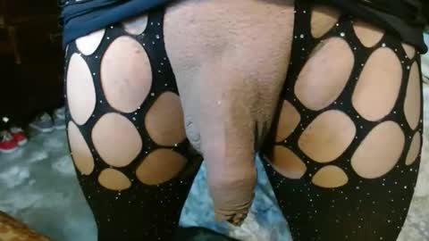 dreamreal online show from October 27, 11:25 am