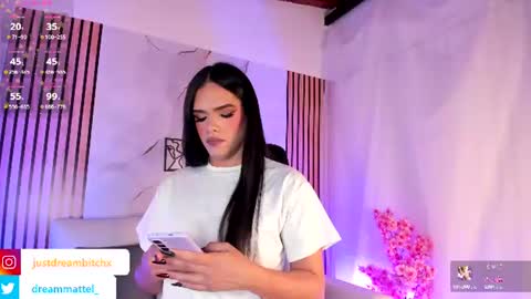 Snapshot of dreammatell_ chatting on June 24, 4:00 am Dream Matell online show from June 24, 4:00 am