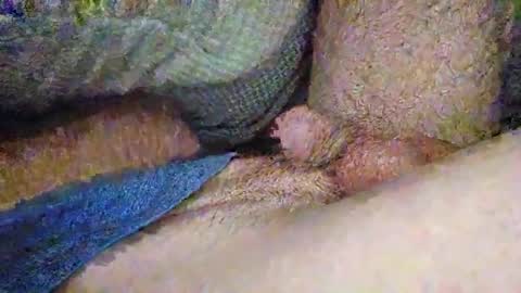 Snapshot of drew8649890274 chatting on November 3, 3:41 am drew8649890274 online show from November 3, 3:41 am