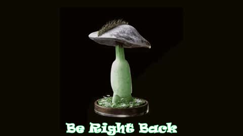 Tara  Sonny online show from February 20, 11:54 pm