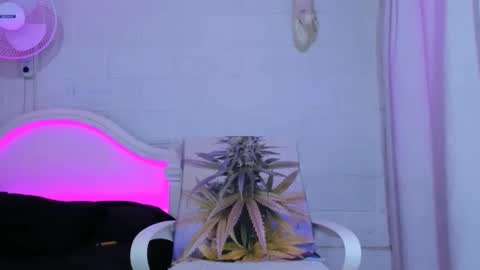 drippyorlove online show from November 5, 8:31 pm