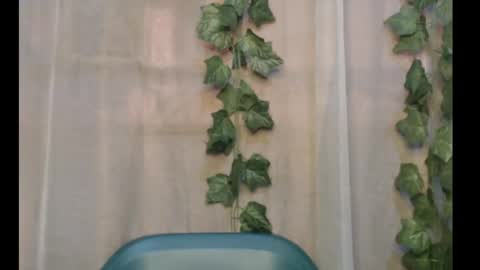 linda online show from September 29, 12:21 pm