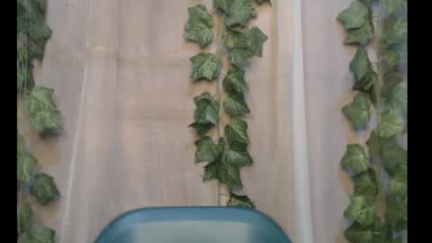 linda online show from September 30, 12:26 am