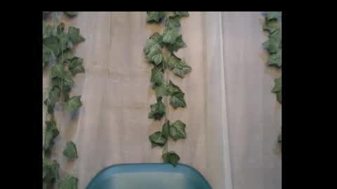 linda online show from October 3, 8:50 pm