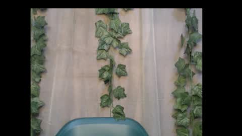 linda online show from October 6, 2:09 am