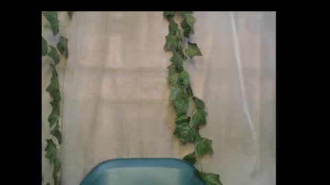 linda online show from October 16, 1:12 pm