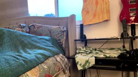 driving_perfectly online show from March 4, 1:55 am