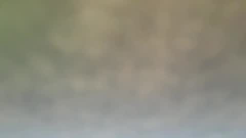 Snapshot of dt51114 chatting on December 21, 6:55 pm StraightStroker online show from December 21, 6:55 pm