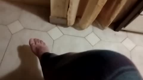 dthedog12 online show from November 3, 3:08 am