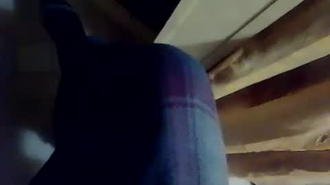 dthedog12 online show from December 3, 10:41 pm