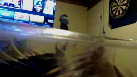 dtrain6969420 online show from September 25, 2:04 am