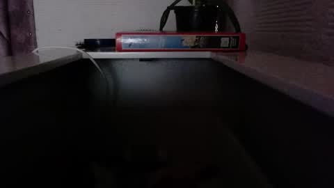 dulce_smith02 online show from November 24, 5:23 pm