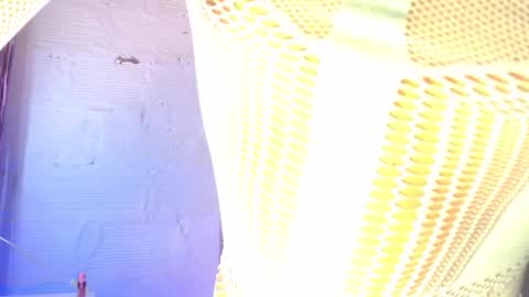 dulce_smith02 online show from March 22, 12:47 am