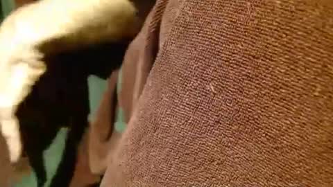 dunany101 online show from March 5, 12:49 am