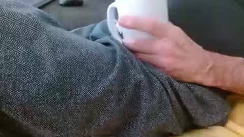 dunany101 online show from February 3, 2:22 pm