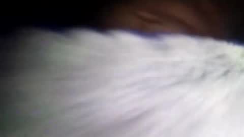 duvanarleyy online show from October 16, 6:36 am