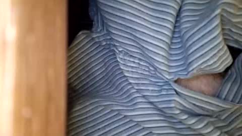 dVe1oPe online show from January 15, 9:47 am