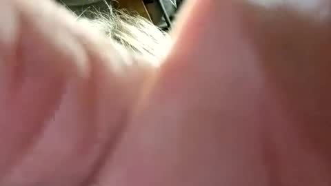 dwr127 online show from March 15, 3:12 am