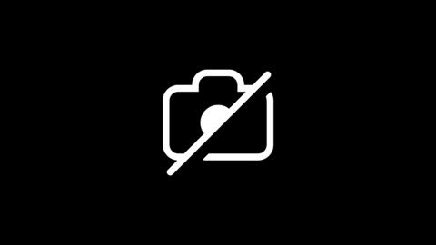 dylp400 online show from January 12, 8:19 am