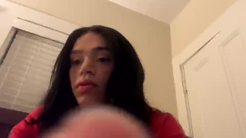 Snapshot of dynasty313 chatting on December 20, 2:19 am Dynasty online show from December 20, 2:19 am