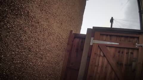 Nadia Ferreira  online show from February 6, 11:24 am