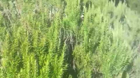 ebnk15 online show from October 21, 1:12 pm