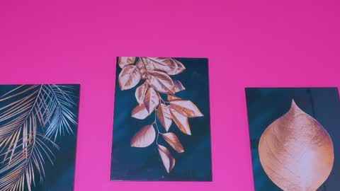 ebonyndsavage online show from April 9, 6:19 am