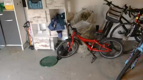 Snapshot of edelholz87 chatting on July 16, 6:47 pm edelholz87 online show from July 16, 6:47 pm