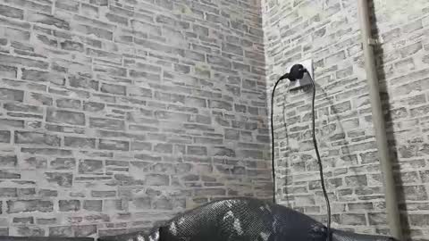 Snapshot of edithmanning chatting on February 10, 12:29 pm edithmanning online show from February 10, 12:29 pm