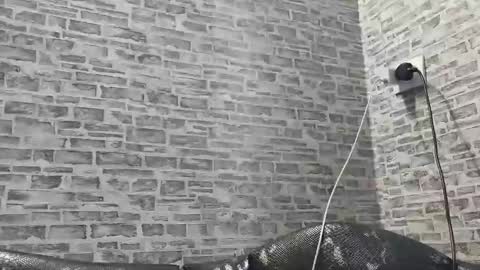 Snapshot of edithmanning chatting on February 27, 2:10 pm edithmanning online show from February 27, 2:10 pm