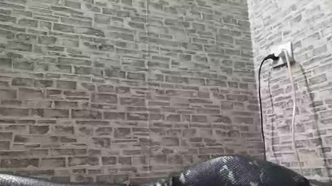 Snapshot of edithmanning chatting on March 6, 3:45 pm edithmanning online show from March 6, 3:45 pm