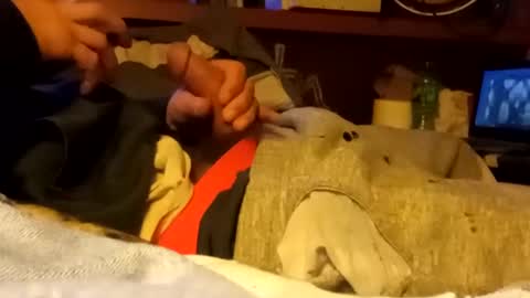 edmore1215 online show from January 14, 6:56 am