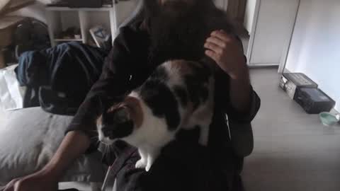 eighthundredeightyeight online show from November 9, 10:57 am