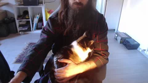 eighthundredeightyeight online show from January 12, 11:04 am