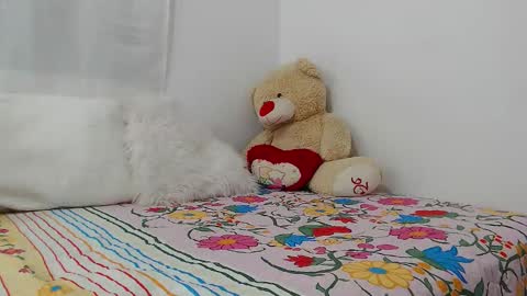 eileenmost online show from December 19, 11:46 pm