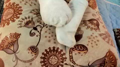 Snapshot of eilin_clio chatting on July 26, 1:07 pm Eilin online show from July 26, 1:07 pm
