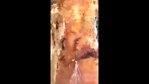 eirickr online show from January 6, 7:06 pm