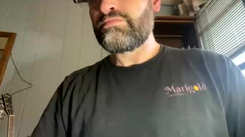 PiedPiper online show from July 30, 12:26 pm