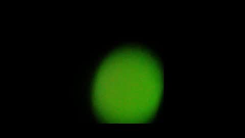 Nando online show from October 24, 2:02 pm