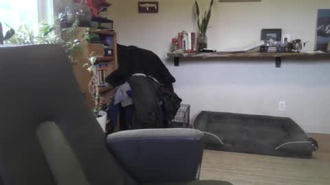 Snapshot of elephantfox chatting on February 22, 7:01 pm fox online show from February 22, 7:01 pm