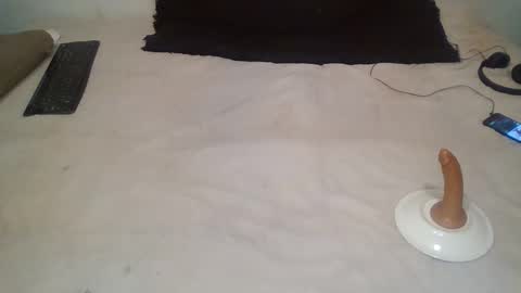 elgsslt online show from February 2, 1:30 pm