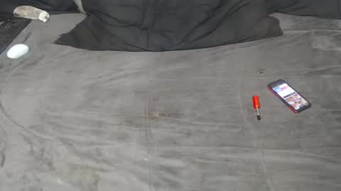 elgsslt online show from September 21, 2:19 pm