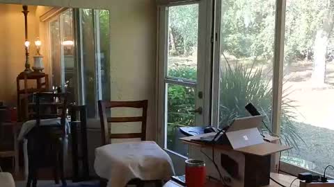 eliberator online show from December 21, 4:58 pm