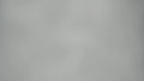 Elis online show from February 25, 8:35 am