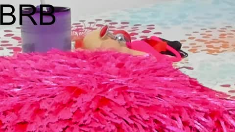 ELIZA online show from January 31, 6:13 am