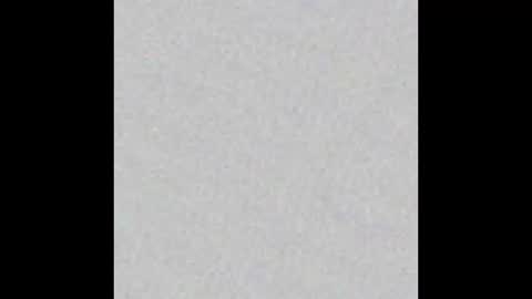 Eli online show from January 8, 7:05 pm