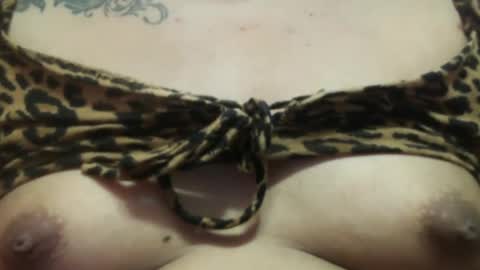 Ellah online show from February 15, 8:33 am