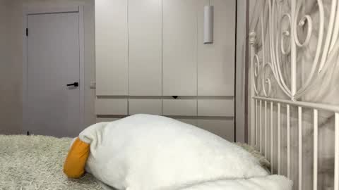 Snapshot of ellettecollins chatting on January 6, 1:04 pm Rosa online show from January 6, 1:04 pm